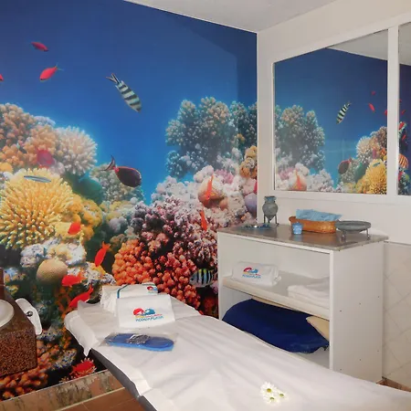 فندق Playasol 4*